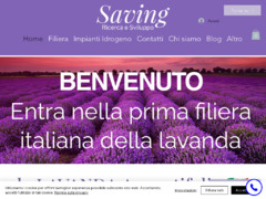 Saving - filiera italiana della lavanda, lavanda angustifolia - Saving-srl.it
