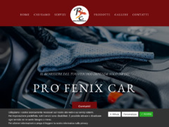 Pro Fenix Car - lavaggio, lucidatura e sanificazione auto - Busto Arsizio ( Varese ) - Profenixcar.it